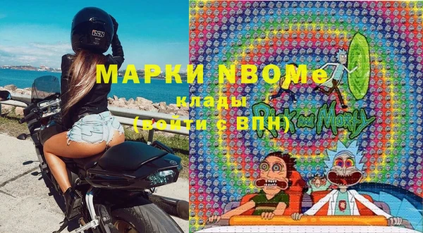гашик Краснослободск
