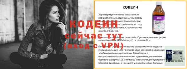 мдпв Козельск