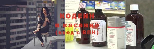 мяу мяу кристалл Корсаков