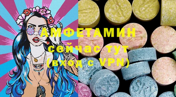 мдпв Козельск