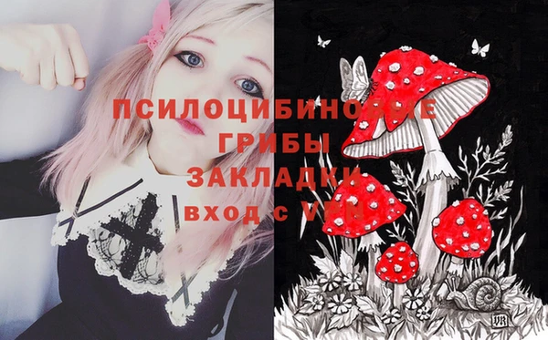 мяу мяу кристалл Корсаков