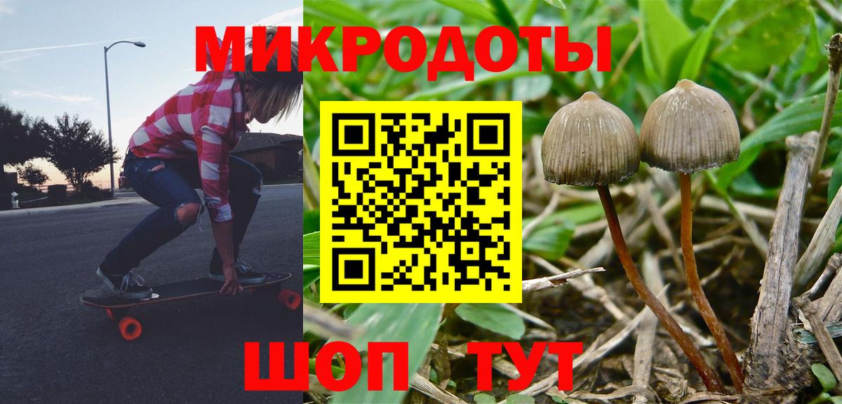 Галлюциногенные грибы мицелий Пушкино