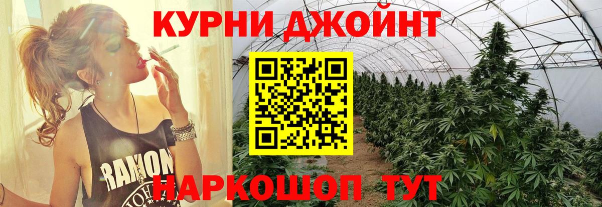 Пушкино  Конопля ГИДРОПОН  Бошки марихуана OG Kush  Вход с VPN 
